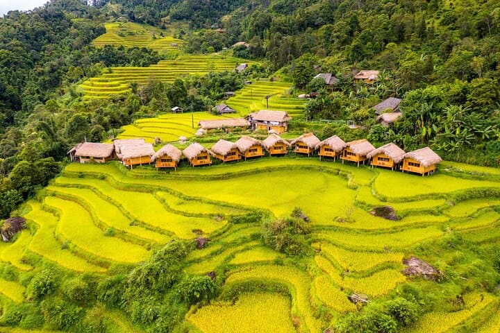 Hoang Su Phi 2-Day Private Car: Homestay & Terraced Rice Fields from Ha Giang