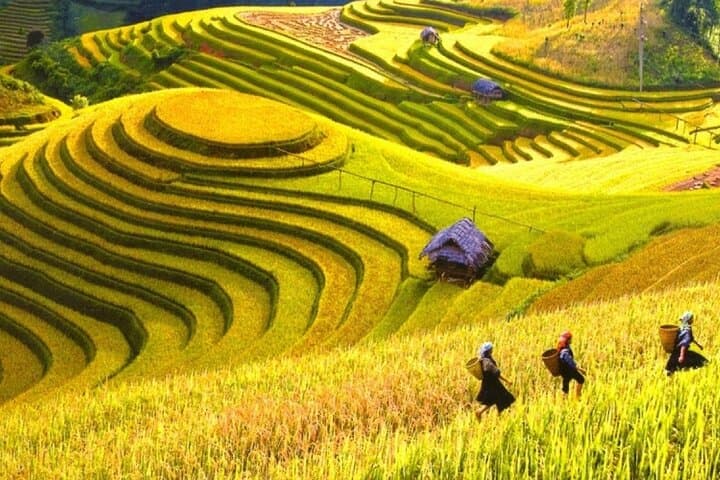 5-Day Ha Giang Loop & Hoang Su Phi Private Tour from Hanoi photo 4
