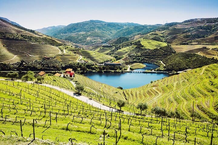 Full-Day Private Douro Valley Wine Tour from Porto — Quinta Tastings & Traditional Lunch