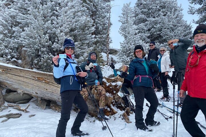 Lake Tahoe Guided Snowshoe Tour: Off-Trail Winter Hikes with Lake Views photo 2