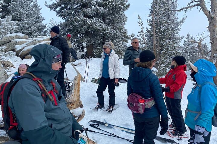 Lake Tahoe Guided Snowshoe Tour: Off-Trail Winter Hikes with Lake Views photo 6