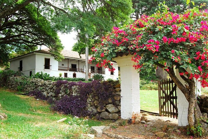 Haciendas of Cali: Explore Hacienda El Paraíso & the Sugar Cane Museum photo 4
