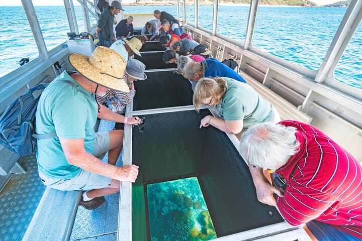 Great Keppel Island Glass-Bottom Boat Tour & Rosslyn Bay Ferry Day Trip