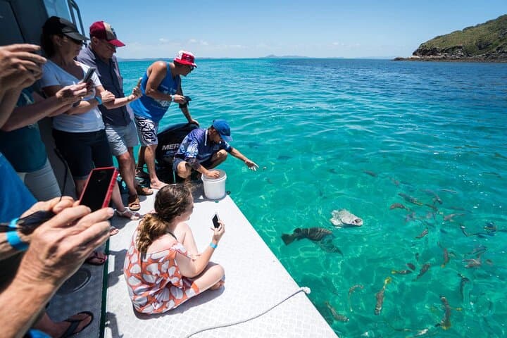 Great Keppel Island Glass-Bottom Boat Tour & Rosslyn Bay Ferry Day Trip photo 2