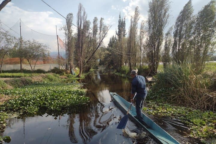 Xochimilco Canals & Chinampa Lunch: Meet Axolotls on a Private Trajinera photo 2