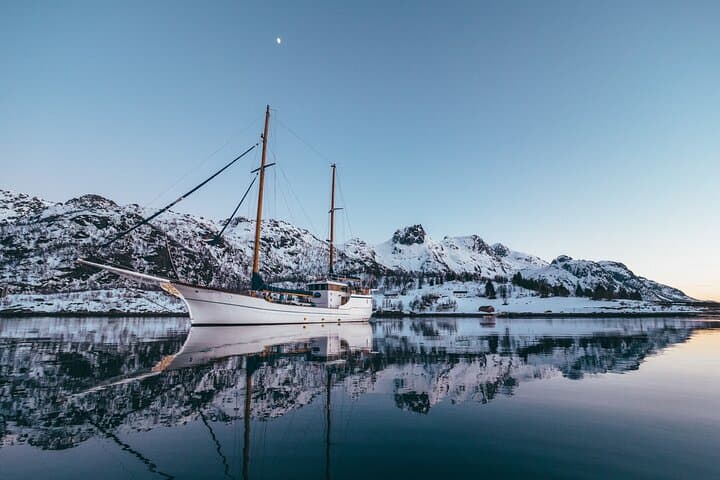 Luxury Polar Fjord Sailing from Tromsø: Stella Oceana Lunch Cruise photo 4