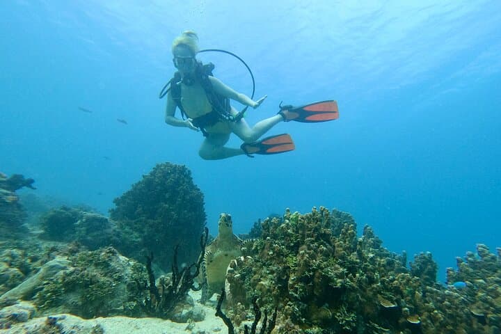 Tumon Bay SUP Lesson and Guided Scuba: Beginner-Friendly Reef Adventure photo 2