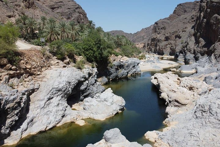 Private Full-Day Tour to Abha's Wadi Lajab and Al Reeth Mountains