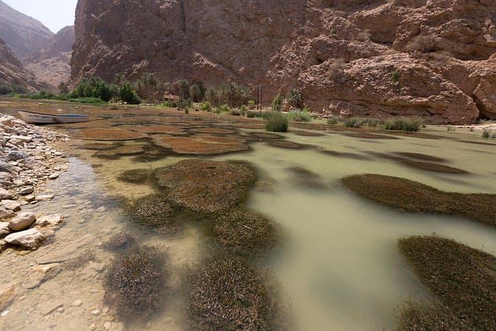 Private Full-Day Tour to Abha's Wadi Lajab and Al Reeth Mountains photo 2