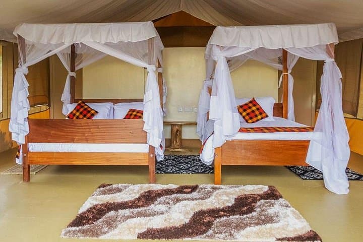 3-Day Masai Mara Private Safari: Best Wildlife Viewing, Migration & Cultural Encounters photo 3