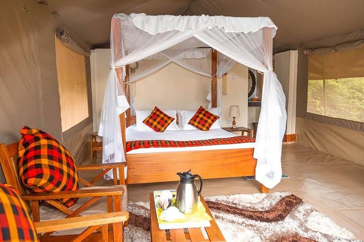 3-Day Masai Mara Private Safari: Best Wildlife Viewing, Migration & Cultural Encounters photo 4