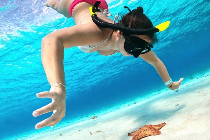Cozumel Turtle Sanctuary Snorkel Tour — El Cielo, Green Turtles & Cielito photo 2