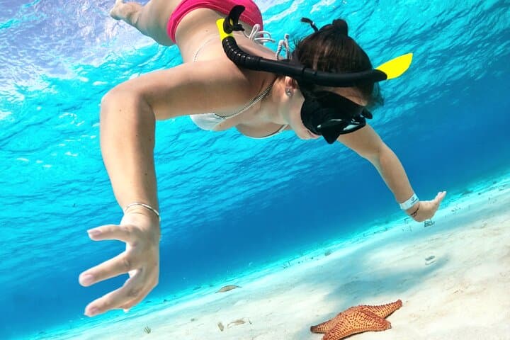 Private Cozumel Snorkel Charter: El Cielo, Turtle Sanctuary & Columbia Reef photo 2