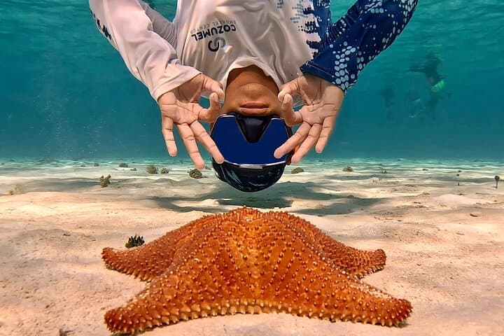 Private Cozumel Snorkel Charter: El Cielo, Turtle Sanctuary & Columbia Reef photo 5