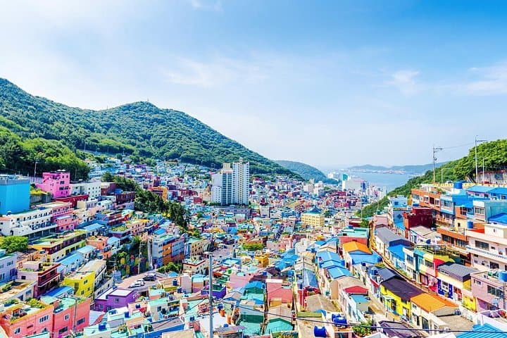 Best of Busan Private Full-Day: Temples, Markets & Coastal Views photo 2