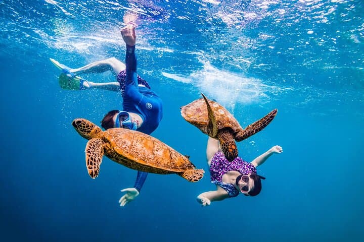 Marsa Mubarak Snorkeling: Swim with Turtles, Dolphins & Red Sea Reefs photo 6