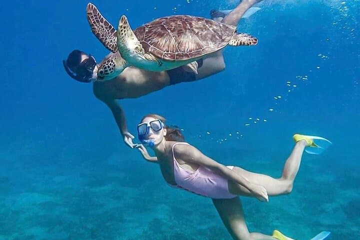 Sataya Reef Dolphin Snorkel Day Trip from Marsa Alam photo 3