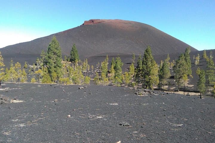 Hiking Chinyero & Trevejo: Volcano Time-Travel on Tenerife's Abeque Ridge photo 4