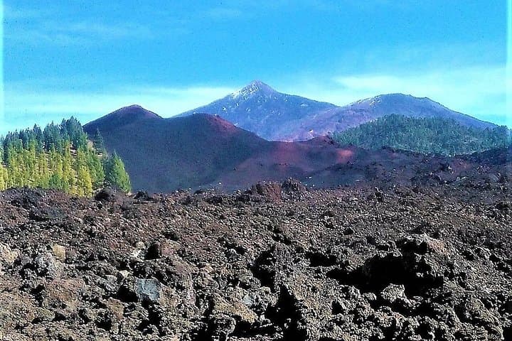 Hiking Chinyero & Trevejo: Volcano Time-Travel on Tenerife's Abeque Ridge