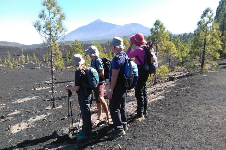 Hiking Chinyero & Trevejo: Volcano Time-Travel on Tenerife's Abeque Ridge photo 3
