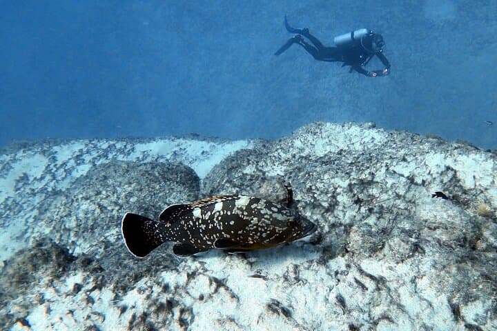 Discover Scuba Diving in Costa Calma: Introductory Dives in Fuerteventura