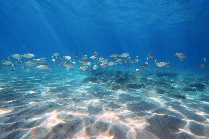 Discover Scuba Diving in Costa Calma: Introductory Dives in Fuerteventura photo 5
