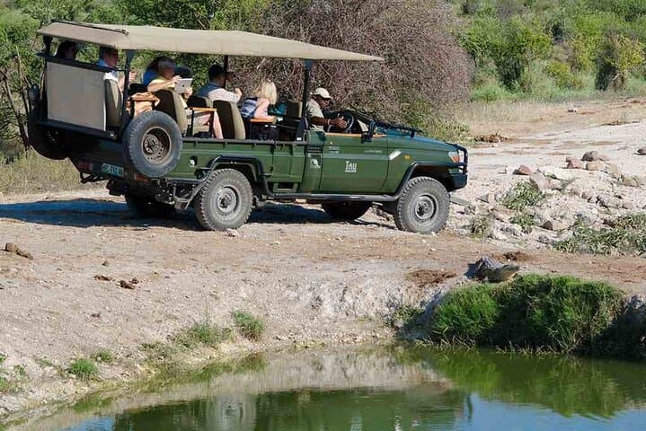 Overnight Safari at Madikwe Game Reserve — Big Five from Gaborone photo 3