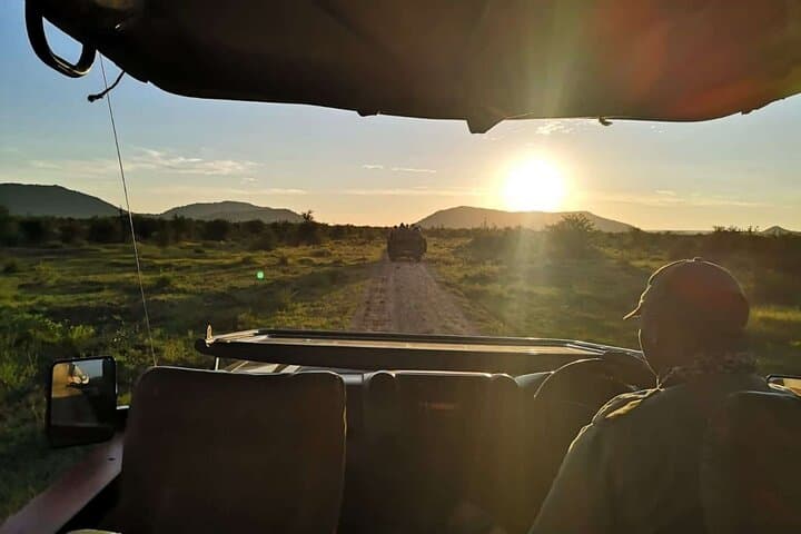 Overnight Safari at Madikwe Game Reserve — Big Five from Gaborone photo 5