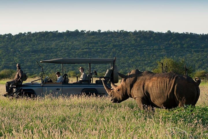 Overnight Safari at Madikwe Game Reserve — Big Five from Gaborone photo 6