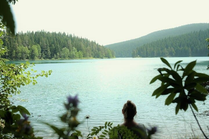 Private Durmitor National Park & Black Lake Day Tour — Black Lake, Tara Bridge and Panoramic Road photo 6