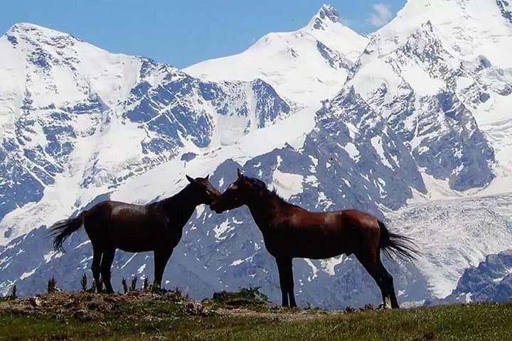 9-Day Private Hiking Tour: Svaneti Treks & Glaciers in the Georgian Caucasus photo 2