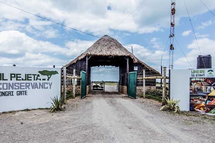 Ol Pejeta Conservancy Full-Day Private Safari from Nairobi — Rhino & Big Five Viewing