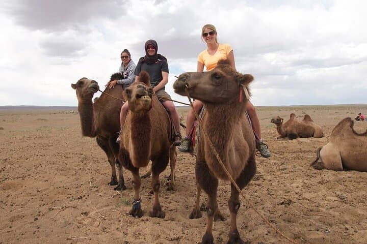 7-Day Great Gobi Tour: Nomads, Singing Dunes & Flaming Cliffs photo 6