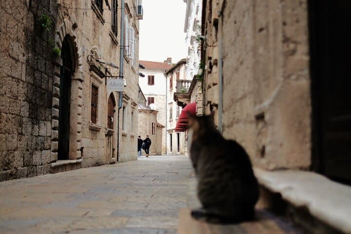 Kotor Bay Private Tour: Kotor, Perast & Our Lady of the Rocks in One Day photo 6
