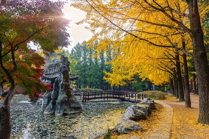Seoul Day Trip: Nami Island, Petite France & The Garden of Morning Calm Private Tour photo 2