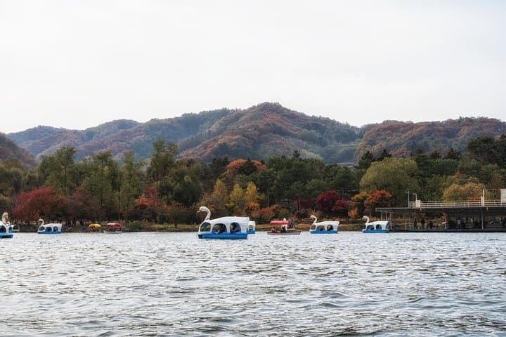 Seoul Day Trip: Nami Island, Petite France & The Garden of Morning Calm Private Tour photo 6