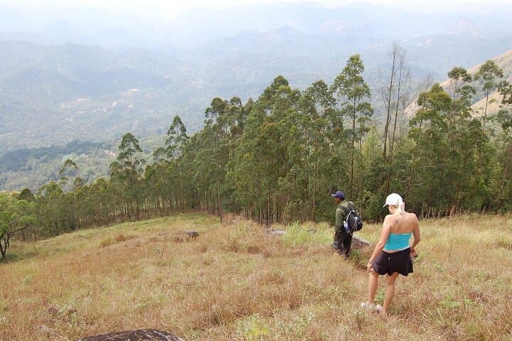 Munnar Letchmi Hills Trek: Tea-Estate Summit, River Crossing & Spice Garden Visit photo 2
