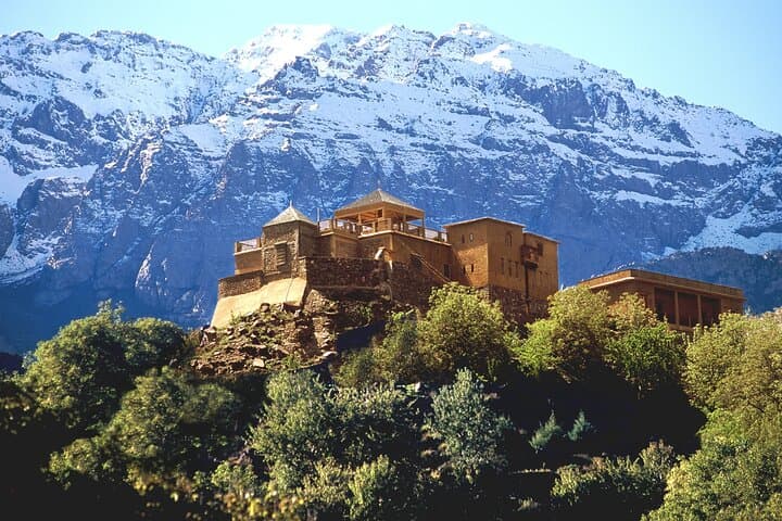 Atlas Mountains Day Trip from Marrakech — Imlil Valleys, Argan Co-op & Waterfalls