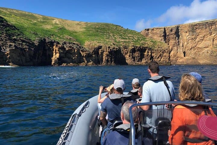 Ilhéus das Cabras Boat Tour — Terceira Island Protected Area Cruise photo 3
