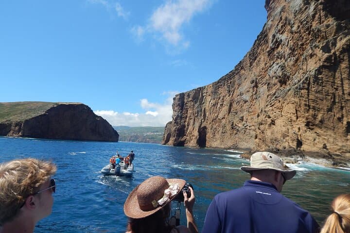 Ilhéus das Cabras Boat Tour — Terceira Island Protected Area Cruise photo 5