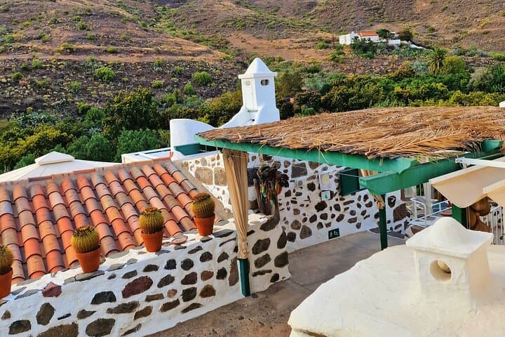 Visit a 200-Year-Old Canarian Farmhouse, Mango Orchard & Vermouth Tasting in Mogán