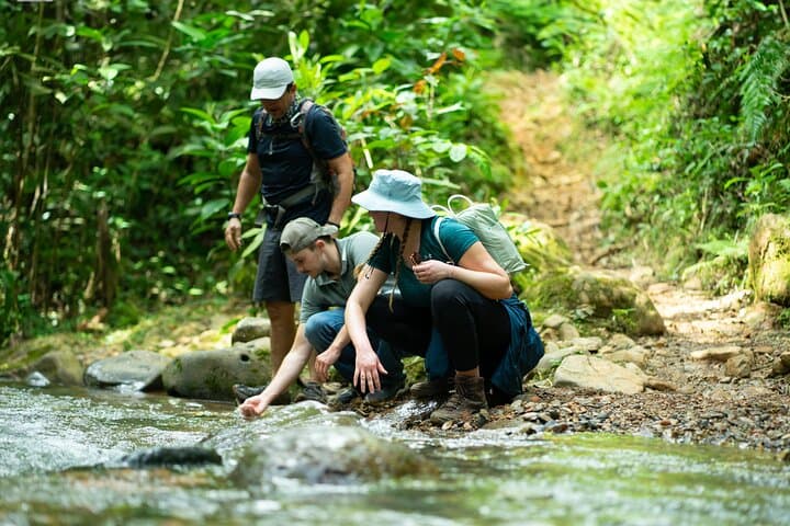 Pance Waterfalls Hike — Explore Farallones de Cali's Waterfalls and Biodiversity