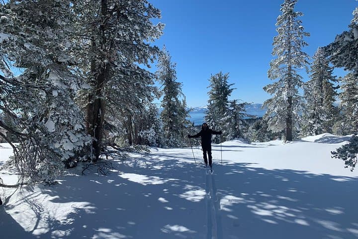 Guided Cross-Country Skiing at Lake Tahoe: Learn on Groomed Nordic Trails photo 2