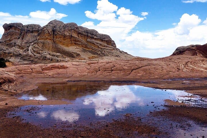 Explore White Pocket: Ultimate 8-Hour UTV & 4WD Adventure from Kanab photo 3