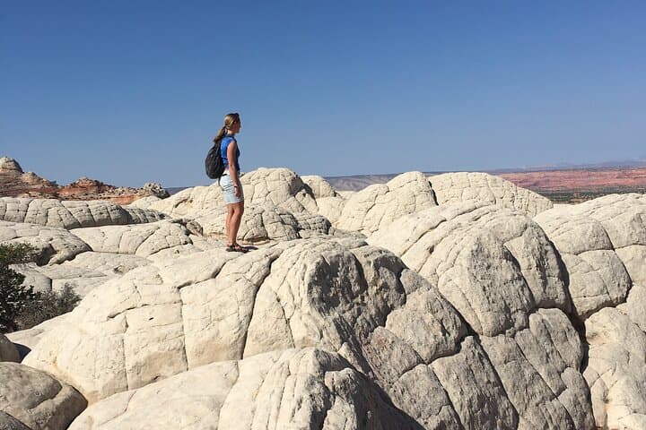 Explore White Pocket: Ultimate 8-Hour UTV & 4WD Adventure from Kanab photo 4