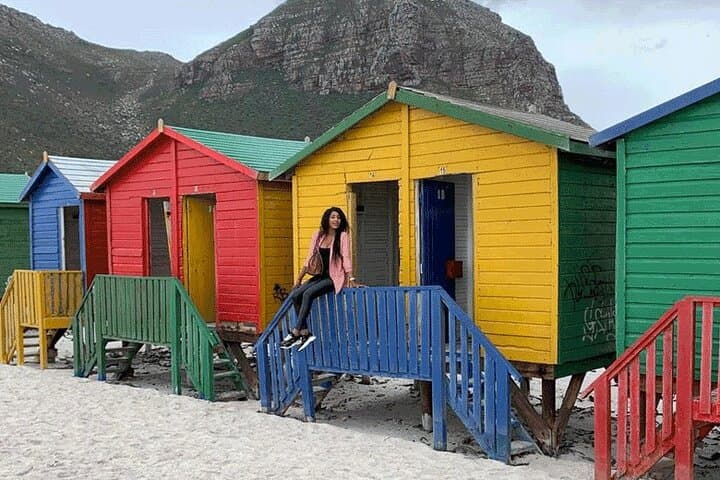 Full-Day Cape Peninsula & Cape of Good Hope Tour — Penguins, Chapman's Peak & Cape Point