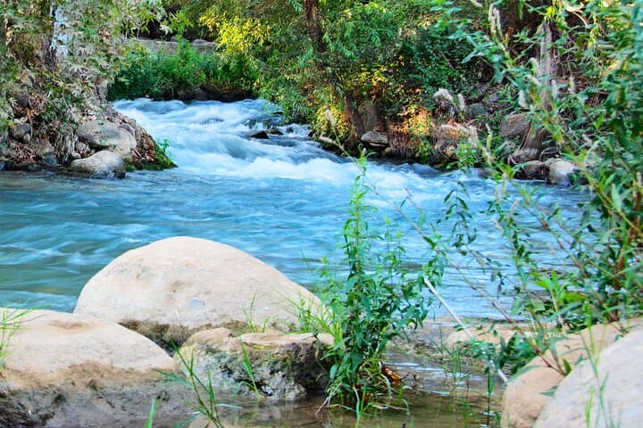 Private Jordan River and Dead Sea Day Tour from Amman photo 3