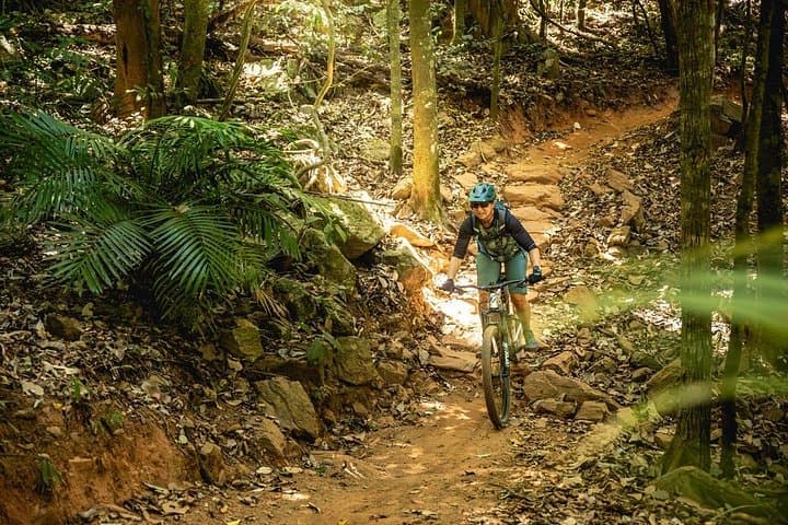 Smithfield Mountain Bike Park: Cairns Guided Mountain Bike Tour photo 1