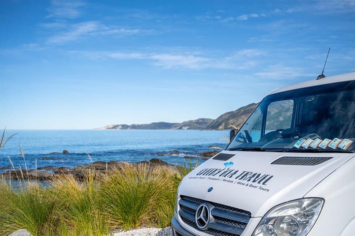 Kaikōura Day Trip from Christchurch: Coastal Wildlife, Peninsula Walks & Scenic Drive photo 3
