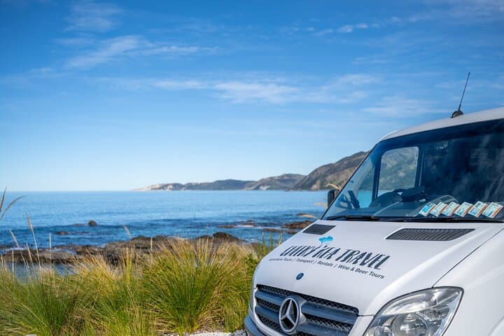 Kaikōura Day Trip From Christchurch: Dolphin Encounter & Coastal Wildlife photo 3